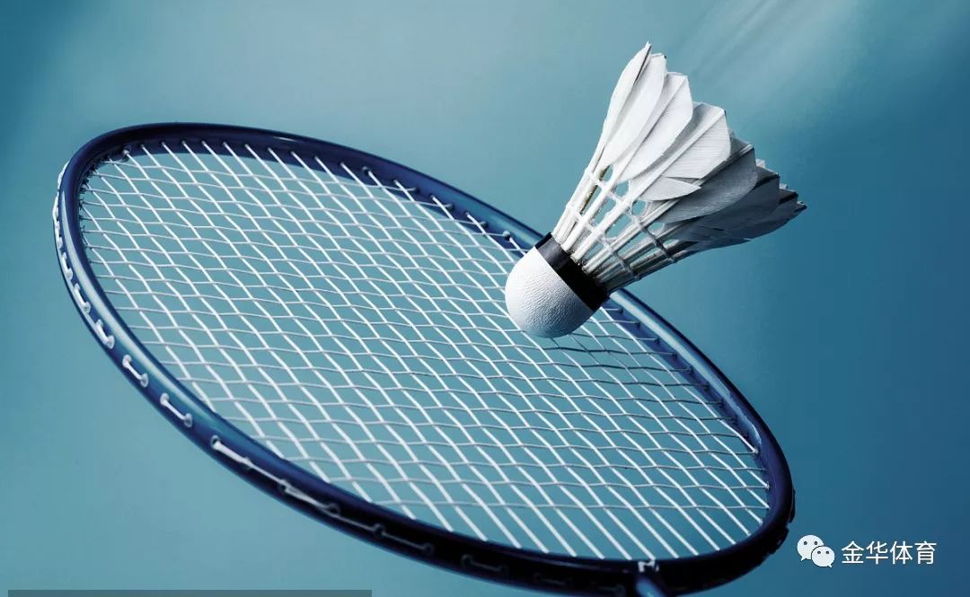 德约科维奇 德约科维奇