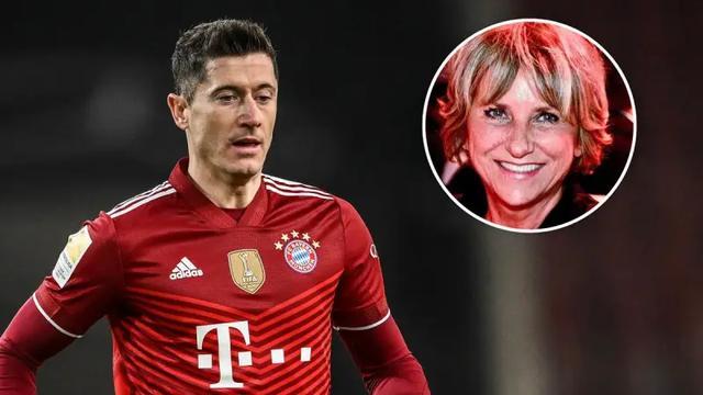 膝盖副韧带 膝盖副韧带