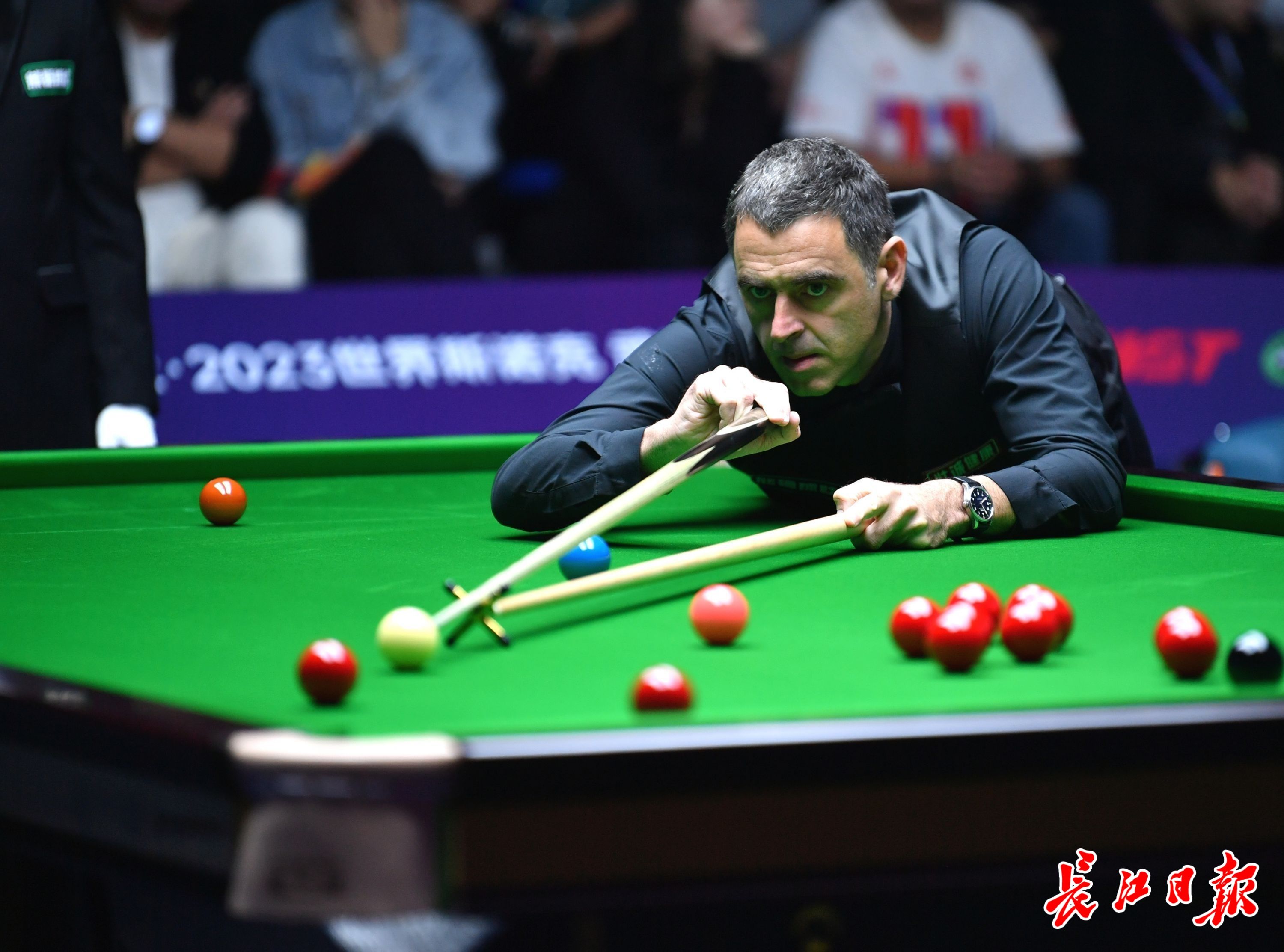 就从速度与 就从速度与