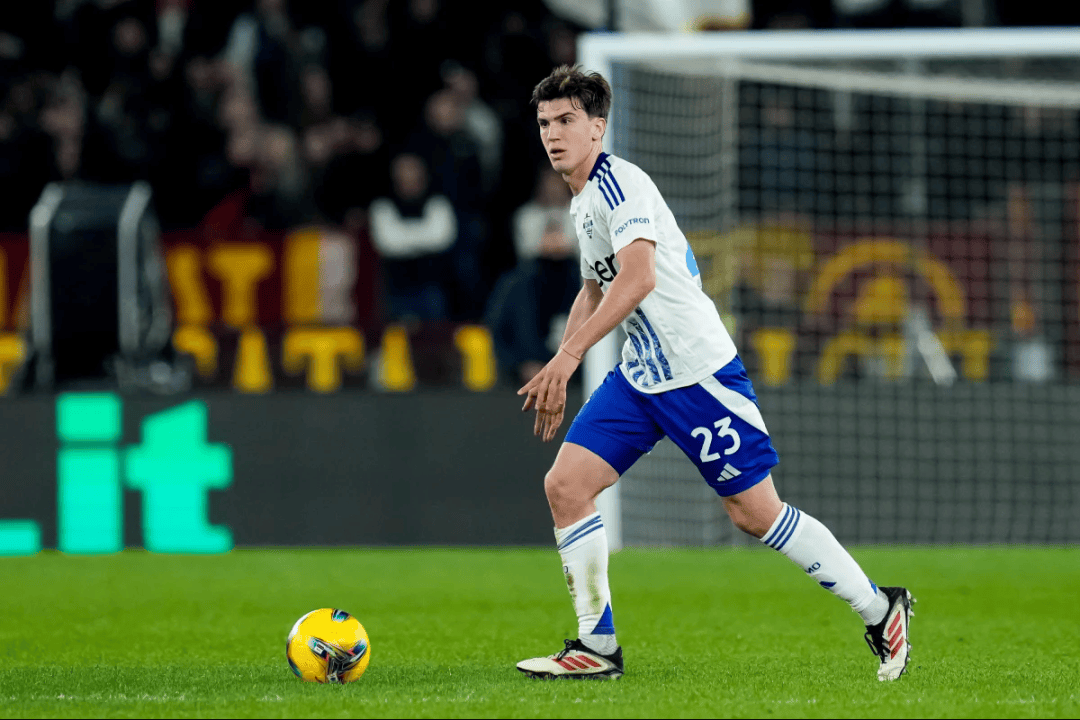 对新手友好 对新手友好